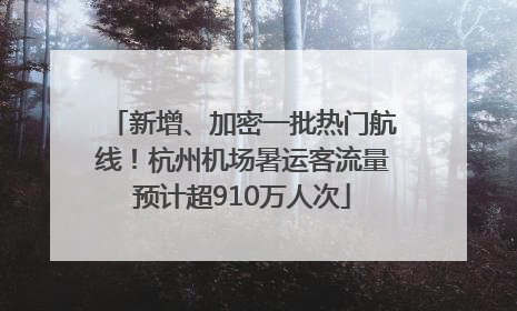 新增、加密一批热门航线！杭州机场暑运客流量预计超910万人次