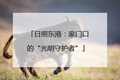 日照东港：家门口的“光明守护者”