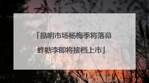 昆明市场杨梅季将落幕 蜂糖李即将接档上市