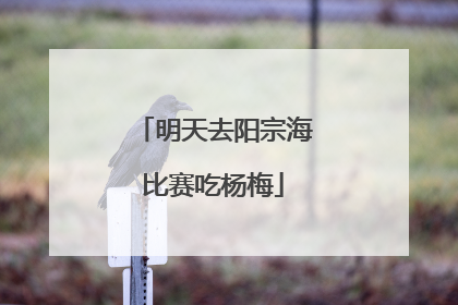 明天去阳宗海比赛吃杨梅