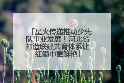 星火传递推动少先队事业发展！河北省打造联建共育体系让红领巾更鲜艳