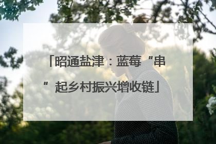 昭通盐津：蓝莓“串”起乡村振兴增收链
