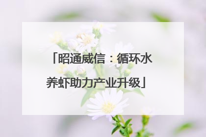 昭通威信：循环水养虾助力产业升级