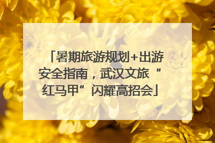暑期旅游规划+出游安全指南，武汉文旅“红马甲”闪耀高招会