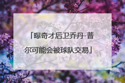 曝奇才后卫乔丹-普尔可能会被球队交易