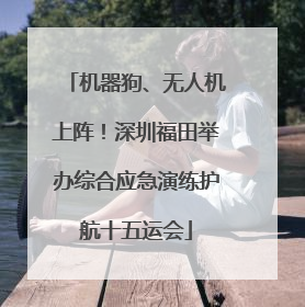 机器狗、无人机上阵！深圳福田举办综合应急演练护航十五运会