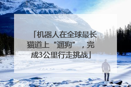 机器人在全球最长猫道上“遛狗”，完成3公里行走挑战