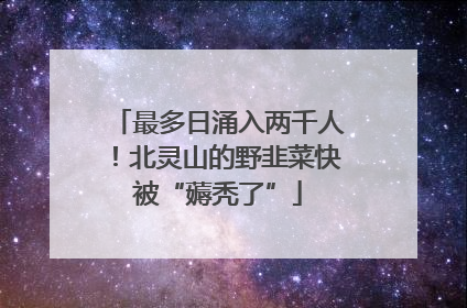 最多日涌入两千人！北灵山的野韭菜快被“薅秃了”