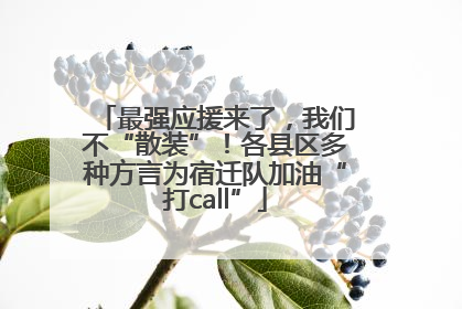 最强应援来了，我们不“散装”！各县区多种方言为宿迁队加油“打call”