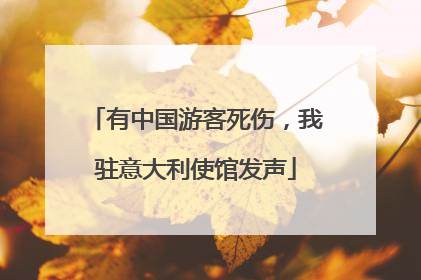 有中国游客死伤，我驻意大利使馆发声