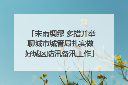 未雨绸缪 多措并举 聊城市城管局扎实做好城区防汛备汛工作