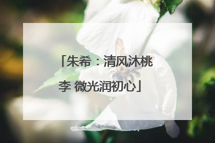 朱希：清风沐桃李 微光润初心