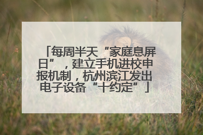 每周半天“家庭息屏日”，建立手机进校申报机制，杭州滨江发出电子设备“十约定”