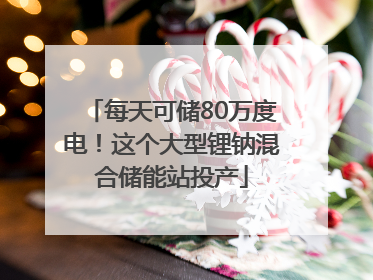 每天可储80万度电！这个大型锂钠混合储能站投产