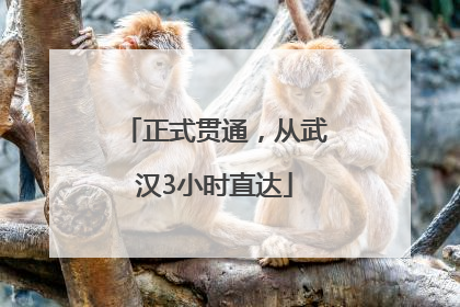 正式贯通，从武汉3小时直达