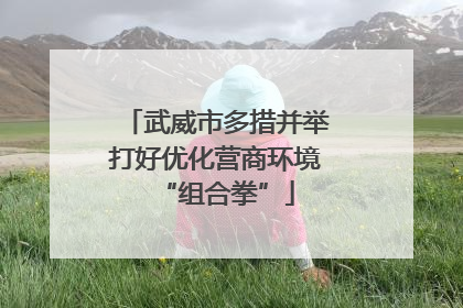 武威市多措并举打好优化营商环境“组合拳”