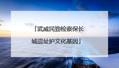 武威民勤检察保长城遗址护文化基因