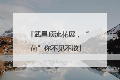 武昌顶流花展，“荷”你不见不散