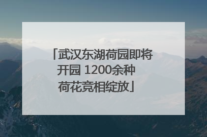 武汉东湖荷园即将开园 1200余种荷花竞相绽放