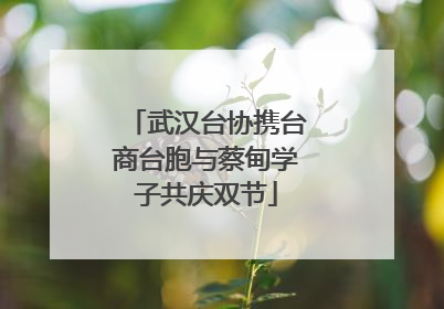 武汉台协携台商台胞与蔡甸学子共庆双节