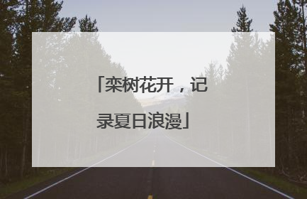 栾树花开，记录夏日浪漫