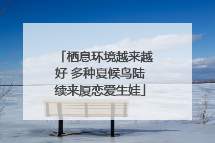 栖息环境越来越好 多种夏候鸟陆续来厦恋爱生娃