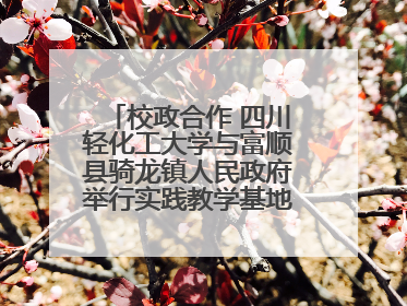 校政合作 四川轻化工大学与富顺县骑龙镇人民政府举行实践教学基地授牌仪式