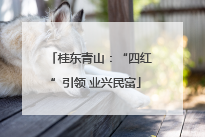桂东青山：“四红”引领 业兴民富