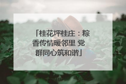 桂花坪桂庄：粽香传情暖邻里 党群同心筑和谐