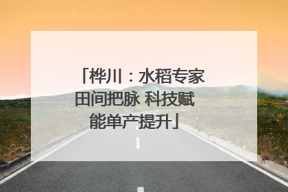 桦川：水稻专家田间把脉 科技赋能单产提升