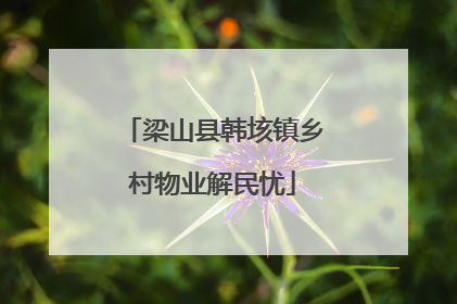 梁山县韩垓镇乡村物业解民忧
