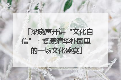 梁晓声开讲“文化自信”：婺源清华朴园里的一场文化盛宴