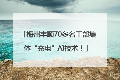 梅州丰顺70多名干部集体“充电”AI技术！