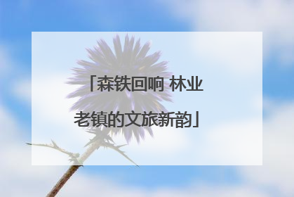 森铁回响 林业老镇的文旅新韵