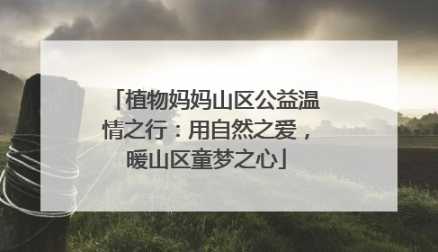 植物妈妈山区公益温情之行：用自然之爱，暖山区童梦之心