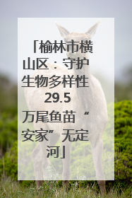 榆林市横山区：守护生物多样性 29.5万尾鱼苗“安家”无定河