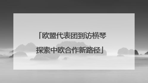 欧盟代表团到访横琴 探索中欧合作新路径