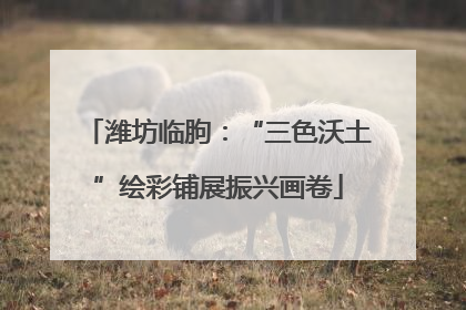 潍坊临朐：“三色沃土”绘彩铺展振兴画卷