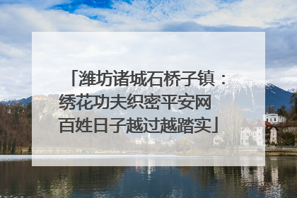 潍坊诸城石桥子镇：绣花功夫织密平安网 百姓日子越过越踏实