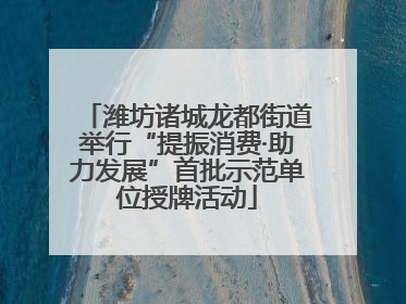 潍坊诸城龙都街道举行“提振消费·助力发展”首批示范单位授牌活动
