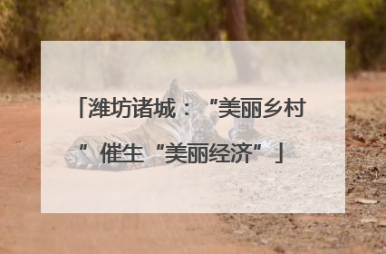 潍坊诸城：“美丽乡村”催生“美丽经济”