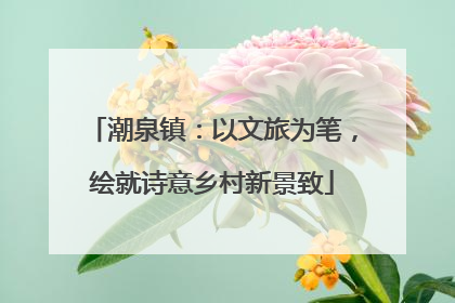 潮泉镇：以文旅为笔，绘就诗意乡村新景致