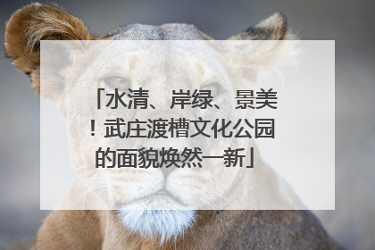 水清、岸绿、景美！武庄渡槽文化公园的面貌焕然一新