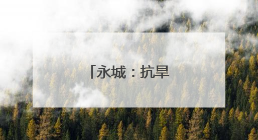 永城：抗旱保苗进行时