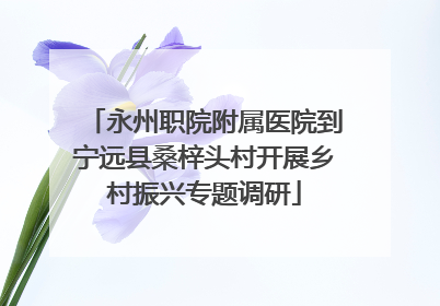 永州职院附属医院到宁远县桑梓头村开展乡村振兴专题调研