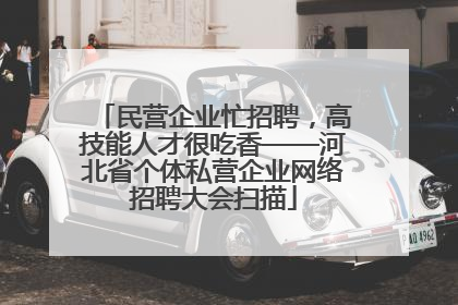 民营企业忙招聘，高技能人才很吃香——河北省个体私营企业网络招聘大会扫描