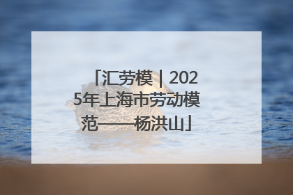 汇劳模｜2025年上海市劳动模范——杨洪山