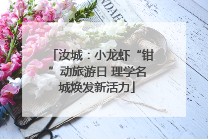 汝城：小龙虾“钳”动旅游日 理学名城焕发新活力