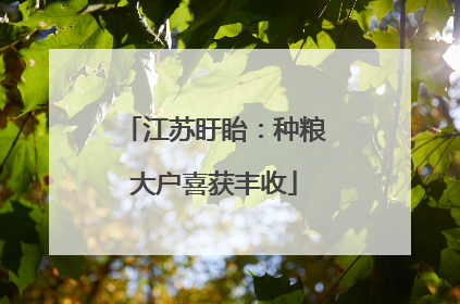 江苏盱眙：种粮大户喜获丰收