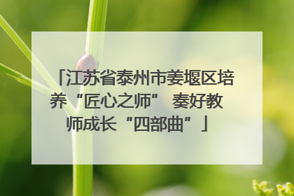 江苏省泰州市姜堰区培养“匠心之师” 奏好教师成长“四部曲”